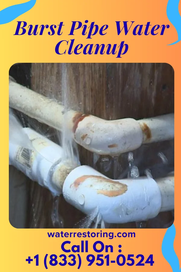 Burst Pipe Water Cleanup in Riverdale, NJ
