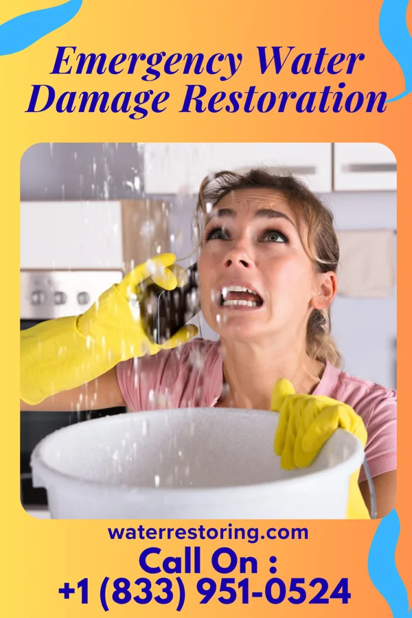Emergency Water Damage Restoration in Riverdale, NJ