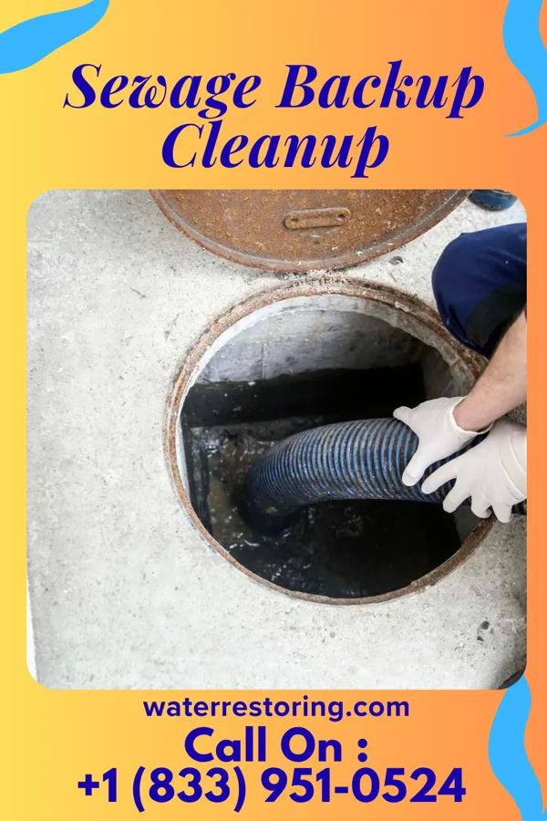 Sewage Backup Cleanup in Riverdale, NJ