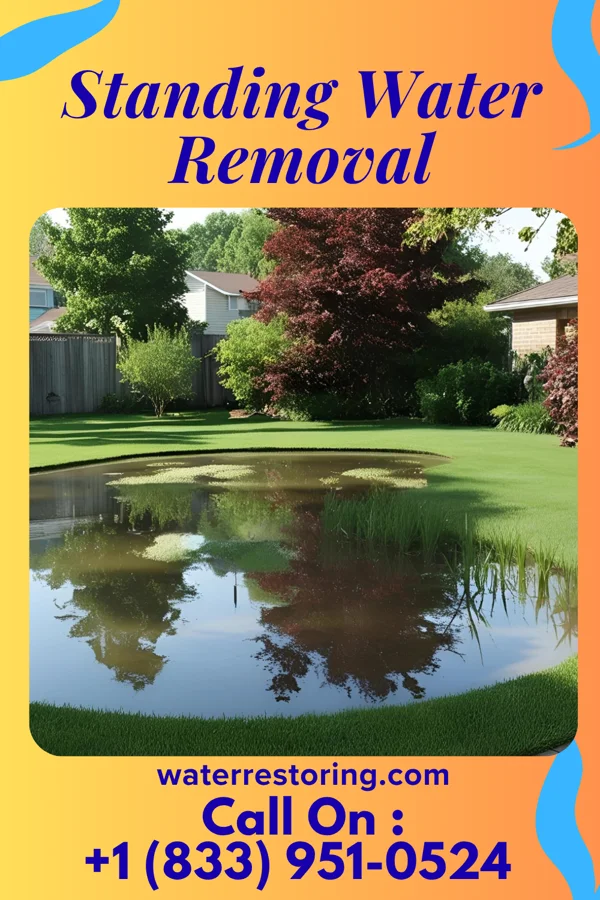 Standing Water Removal in Riverdale, NJ